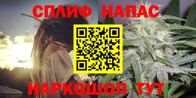 тгк Будённовск