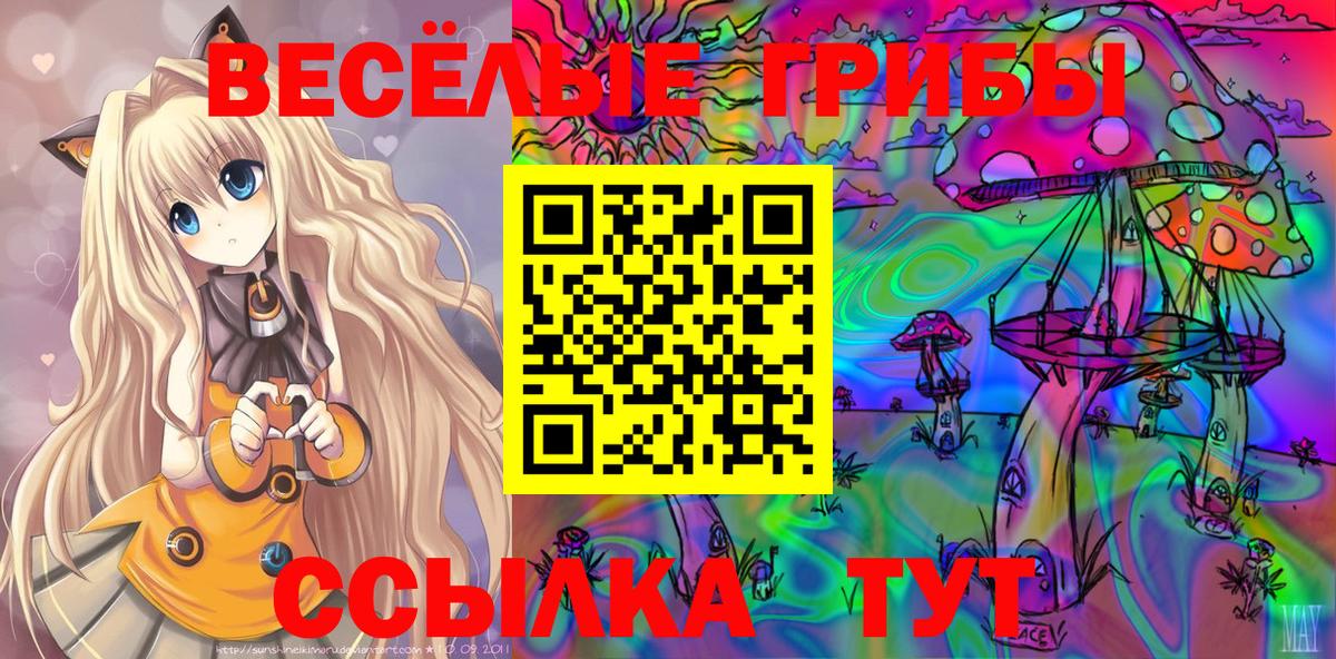 Галлюциногенные грибы Psilocybe  Вход с VPN  Галлюциногенные грибы MAGIC MUSHROOMS  Пыть-Ях 
